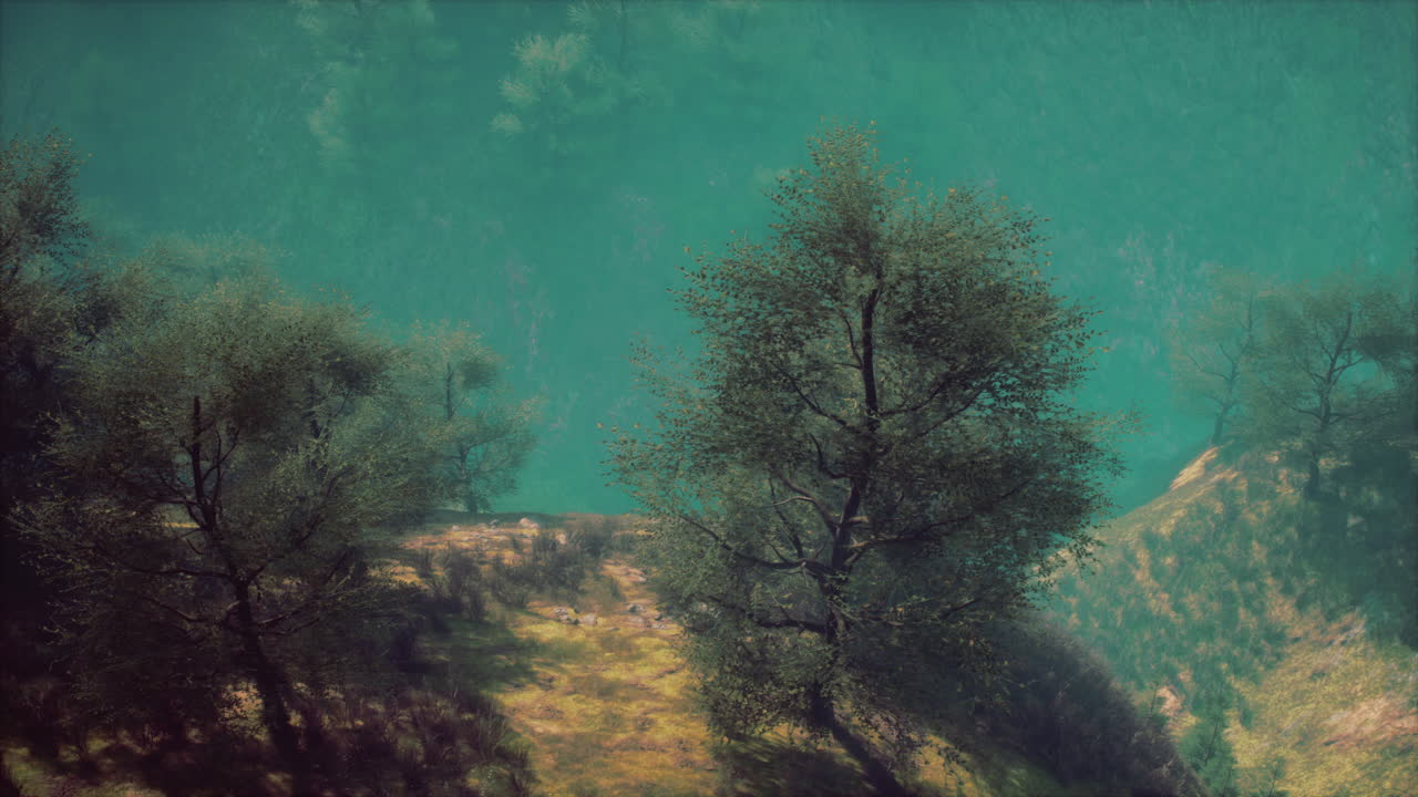 valle de montaña brumosa con árboles