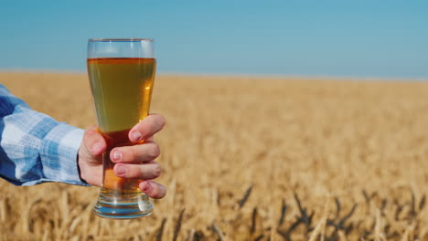 men's hand holds a glass of light beer in a wheat field on a summer day