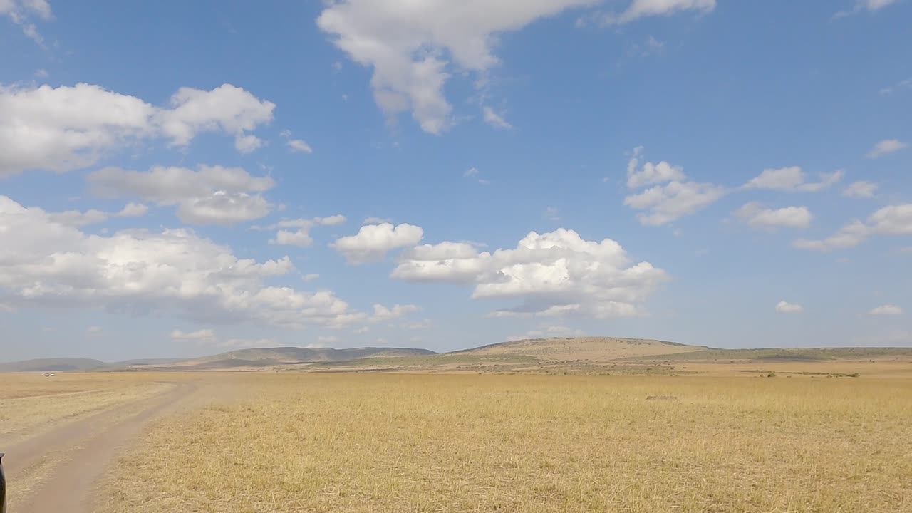 Safarikøretøj kører gennem et stort vildtområde i Maasai Mara, Kenya.