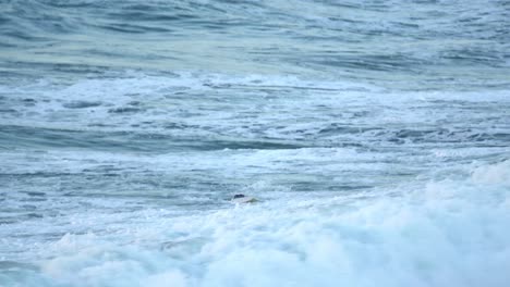 A-surfer-rides-blue-ocean-wave-in-Haderah,-Israel