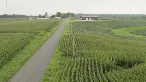 aerial, rural countryside farmland road, crops growing on an overcast day