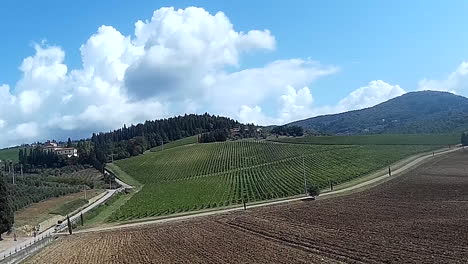 Frescobaldi-Vista-Aérea-De-Los-Viñedos-De-La-Industria,-Empresa-De-Producción-De-Vino-Chianti-Cerca-De-Pontassieve