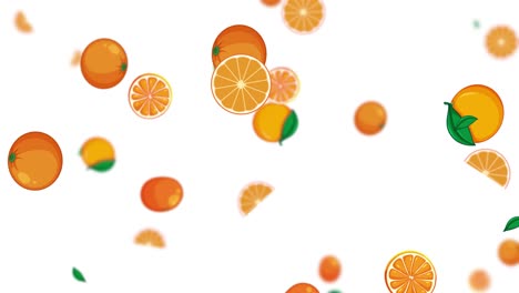 oranges and slices falling with green leaves