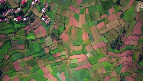 Draufsicht-Auf-Landwirtschaftliche-Terrassen-In-Afrika---Drohnenaufnahme