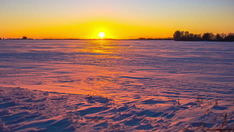 el tiempo amarillo brillante de la puesta de sol cae sobre un campo de nieve - el anochecer cae en la escena de invierno de gran angular