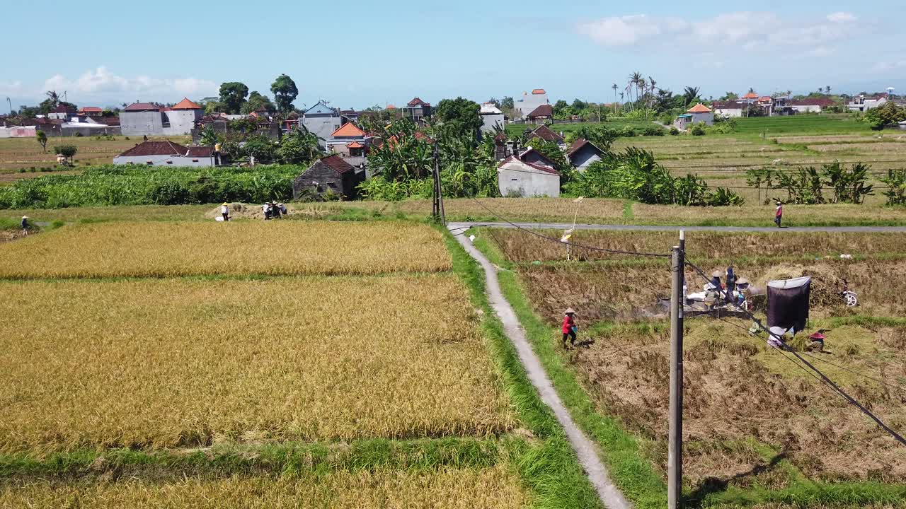 Farmers Work at Agricultural Rice Green Fields Panoramic Aerial in Southeast Asia Village of Local People, Clear Dreamy Blue Sky