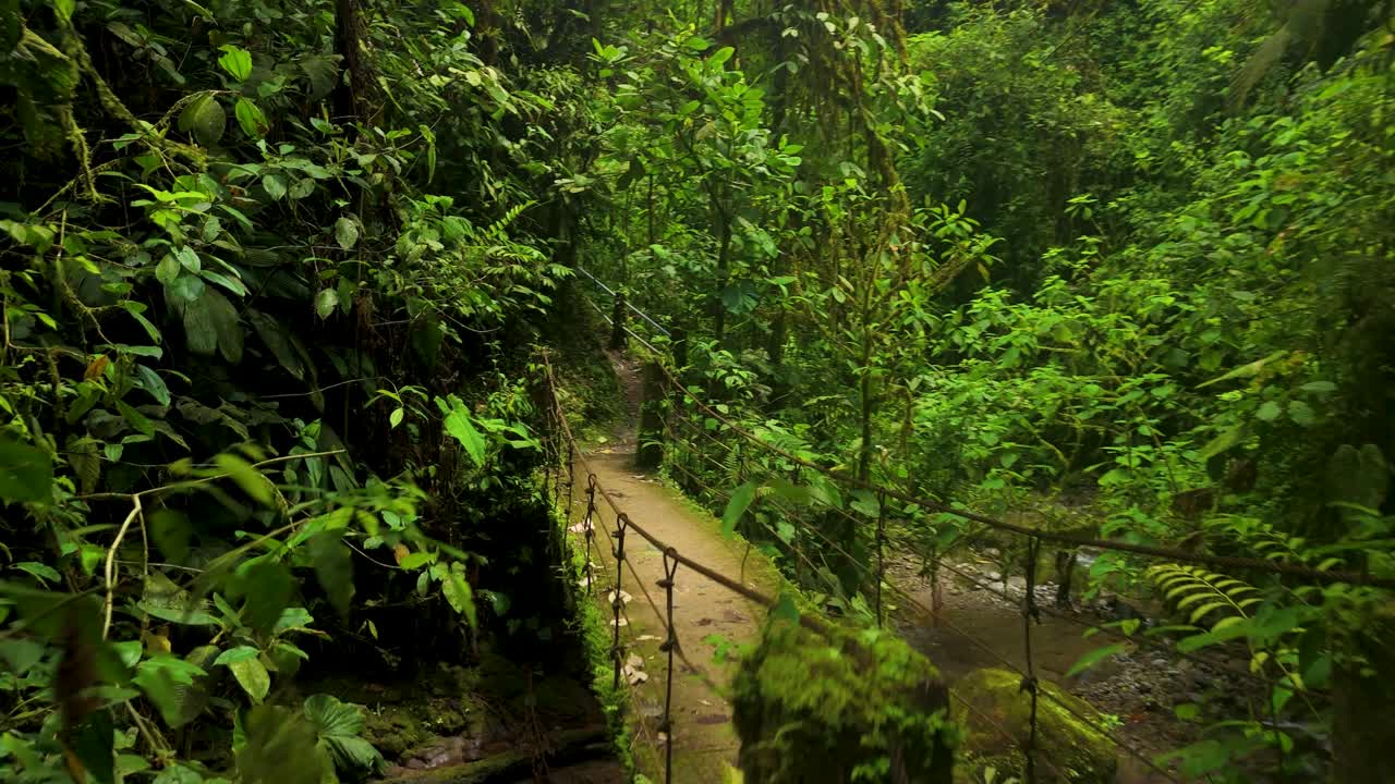 Un drone avanza sopra un ponticello rustico e muschioso che attraversa un ruscello della giungla, circondato da una fitta vegetazione della foresta nebulosa tropicale a Mindo, Ecuador