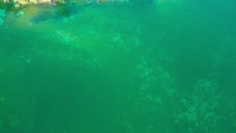 Ruhiges-Grünes-Wasser-Der-Plitvicer-Seen-Mit-Galovac-Wasserfall-Im-Sommer-In-Kroatien