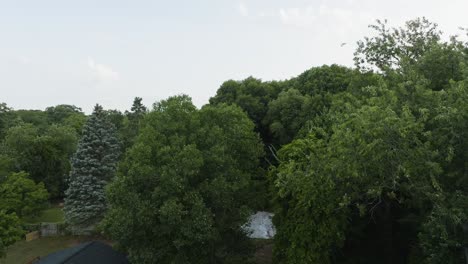 a drone searching for a hawk nearby