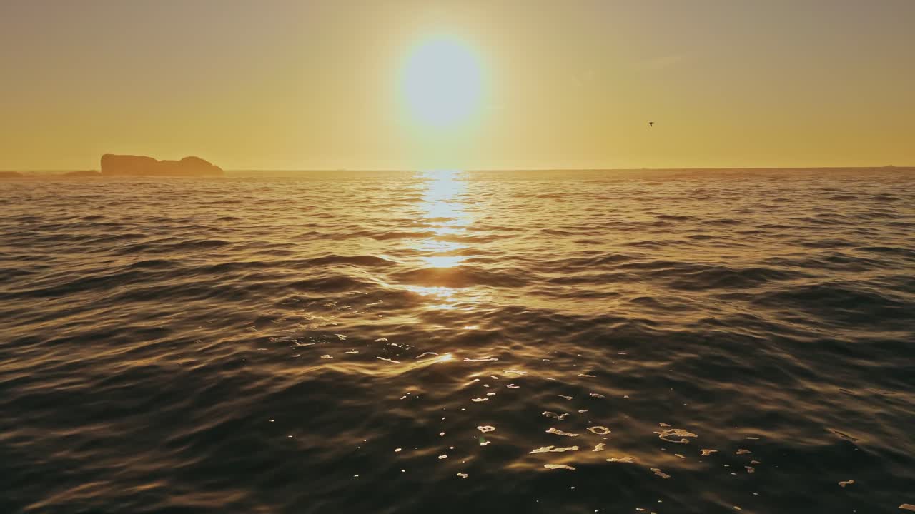 해가 지고 물 위에 황금빛을 비추면서 광활한 바다 위로 날아갑니다.