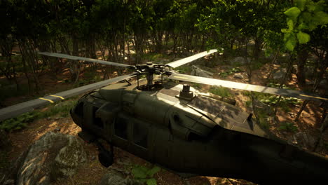 military helicopter in deep jungle