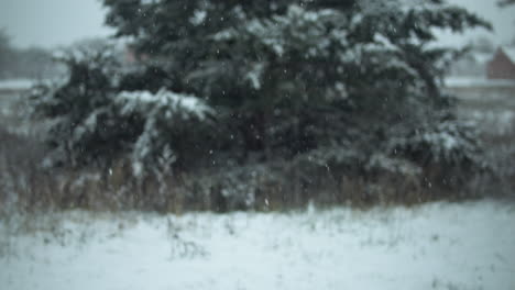 Draußen-Fällt-Schnee-In-Zeitlupe-Und-Bedeckt-Den-Boden-Und-Die-Bäume