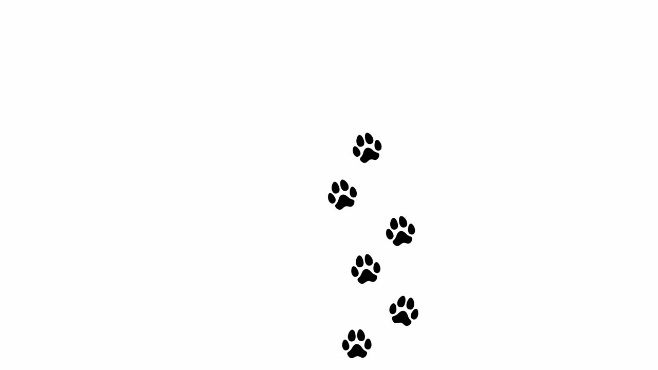 Animation : une traînée d'empreintes de pas noires sur un fond blanc, un chien marchant seul sur un chemin allant de bas en haut, en orientation verticale.