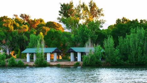 Summer pond and pavilion with wildlife