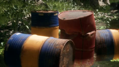 rusty barrels in green forest