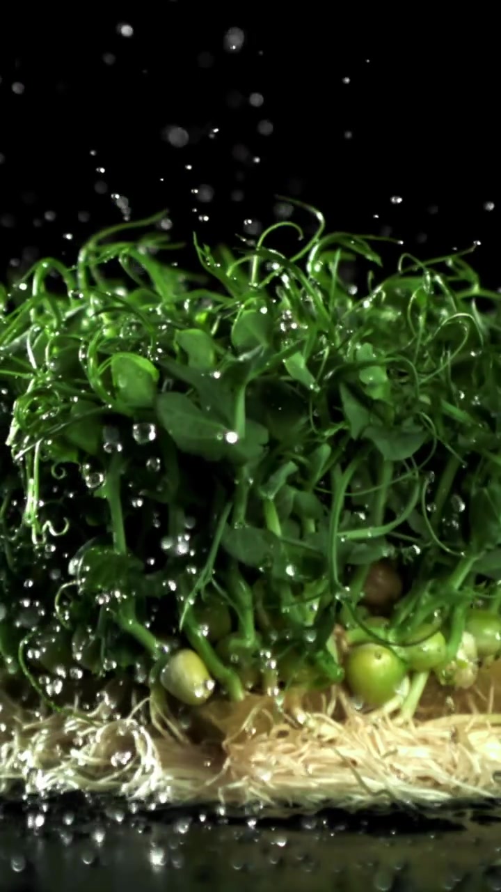 Gocce d'acqua in slow motion che cadono su microgreens freschi e verdi