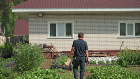 back view of farmer walking through crop rows near house carrying crate and tools turning around to inspect farm conditions and plant health on sunny day