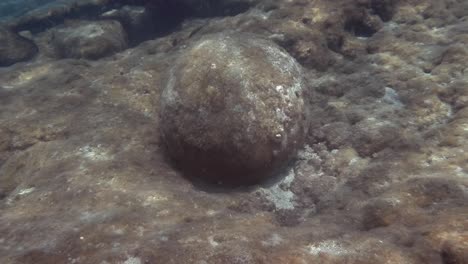 stone cannonball at the bottom of the mediterranean sea, rhodes island, greece