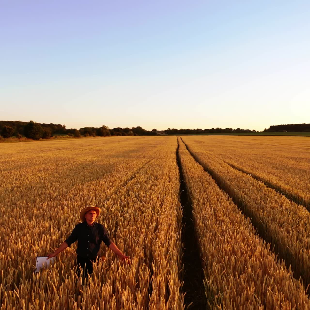 Manwalking in wheat field