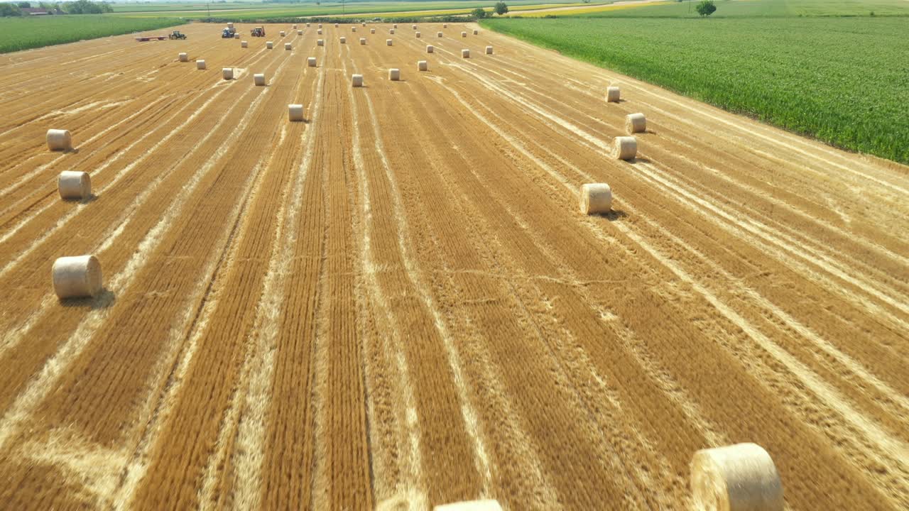 vista de arriba de un campo agrícola, recogiendo balas redondas de paja