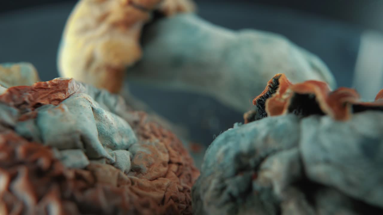 una toma cinematográfica macro-zoom de un hongo seco mágico psicoactivo psilocibina alucinación con una tapa roja amarilla, en un soporte reflectante giratorio 360, iluminación de estudio profesional, video 4k