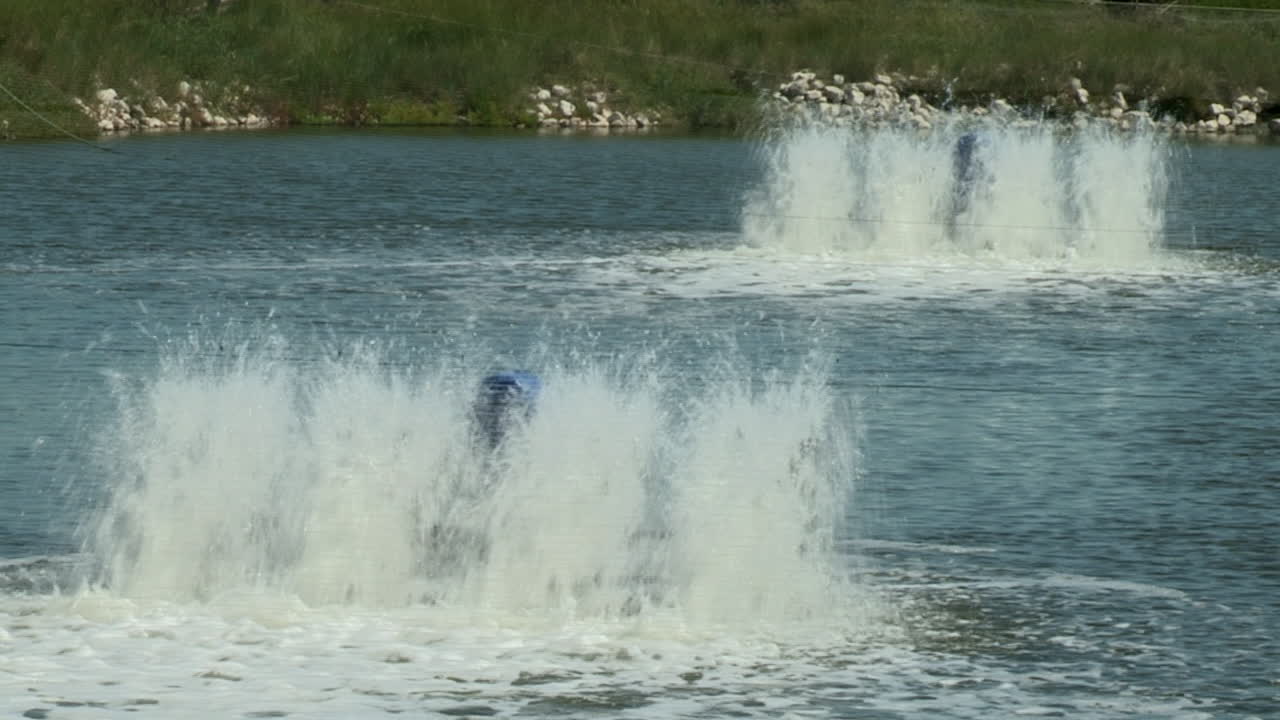 물고기 연못에 두 개의 물 통풍기
