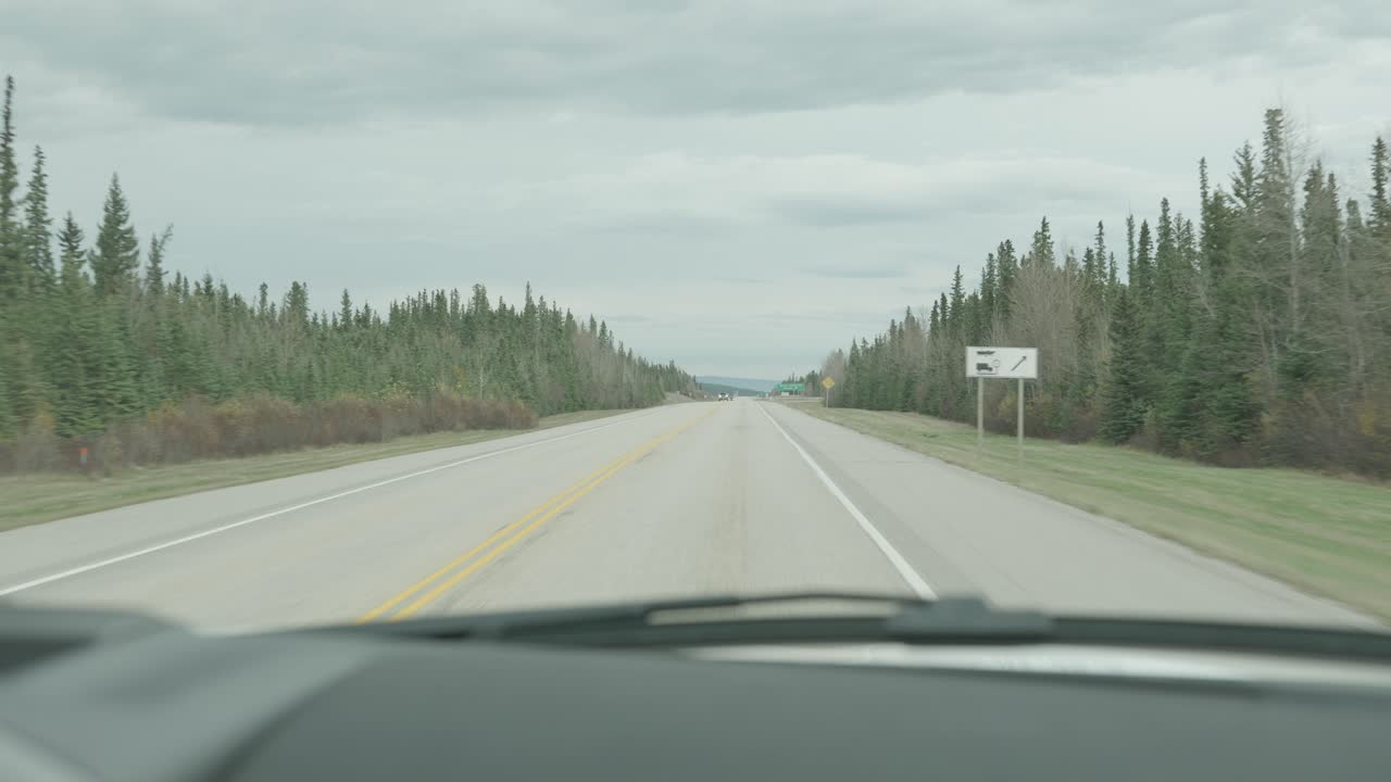 Driving on a Scenic Highway Through a Forest