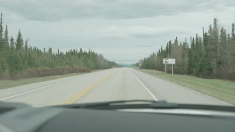 driving on a scenic highway through a forest