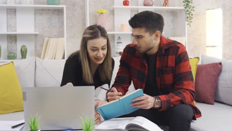 una joven pareja feliz usando una computadora portátil sentada juntos en el sofá en casa.