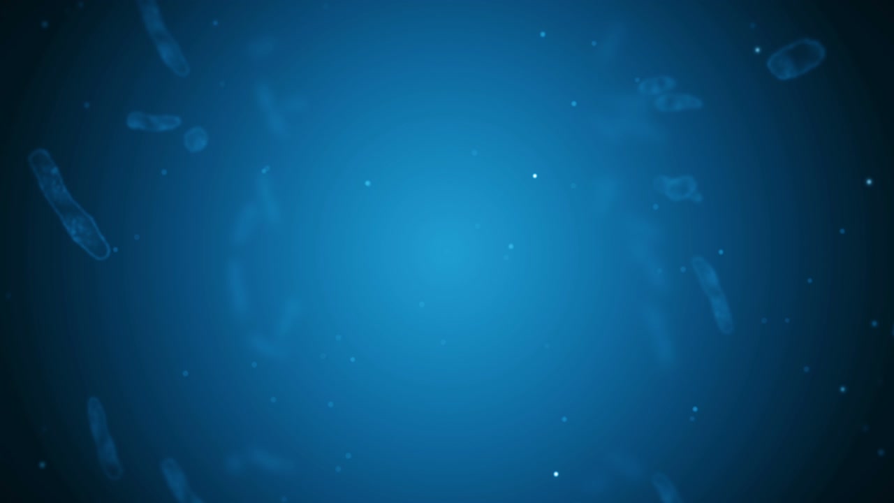 virus de célula en forma lineal. virus patógenos que causan infección. animación en bucle de virus humanos. microorganismo bacteriano. brote de enfermedad viral.