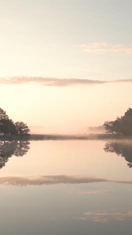 misty sunrise over a peaceful meadow