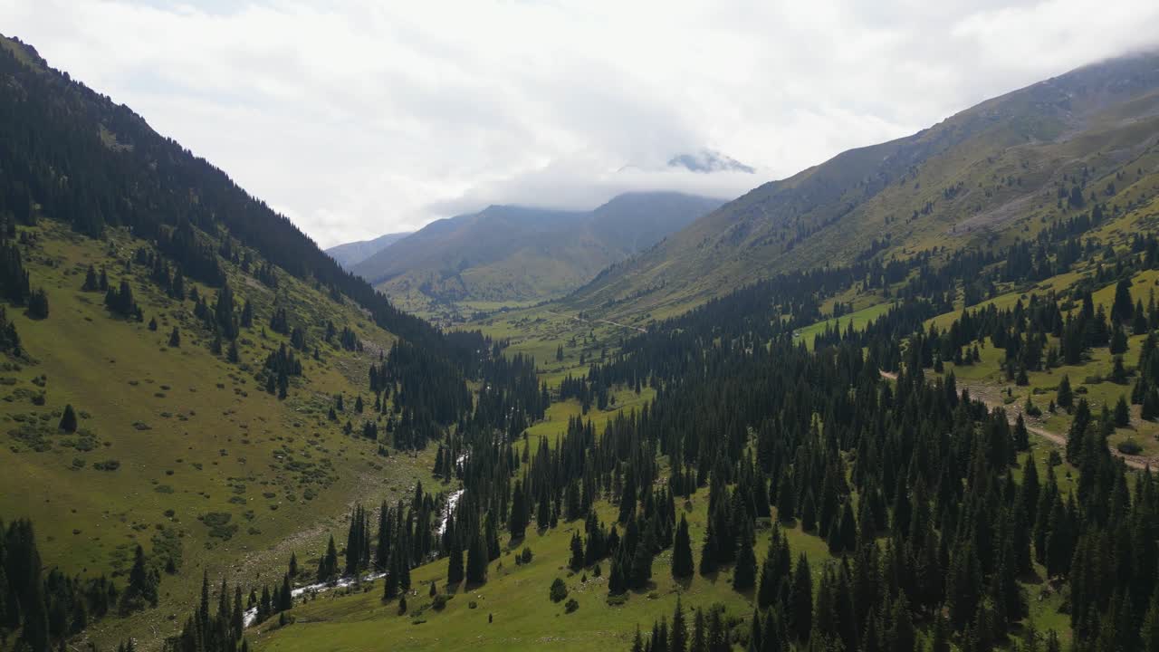 Il paesaggio panoramico della valle montuosa