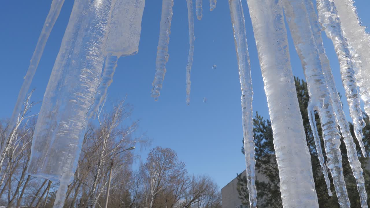 스프링 드롭, 아이스클