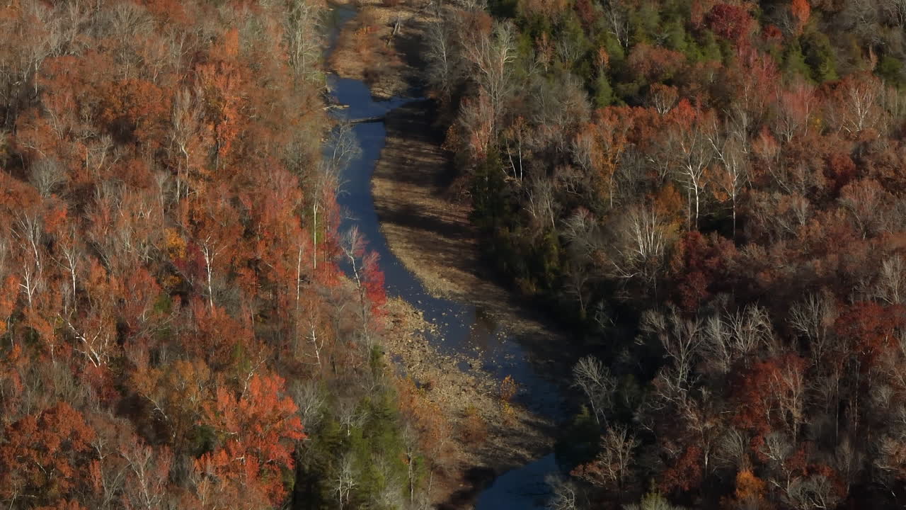 bosque durante la temporada de finales de otoño con pantanos en el río lee creek cerca de west fork en el condado de washington, arkansas