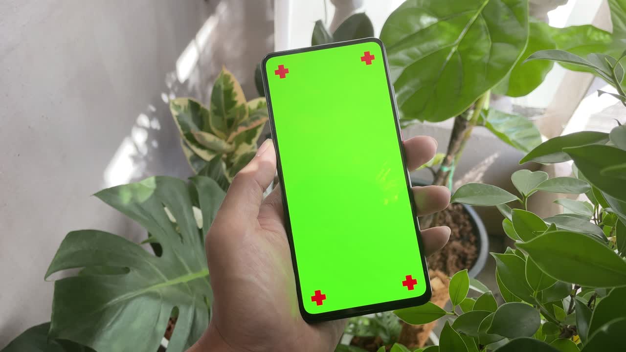 pantalla de teléfono verde en el jardín árbol naturaleza con canal alfa