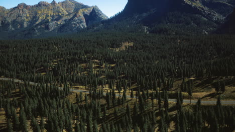 scenic view of dense pine forest and majestic mountains during daylight