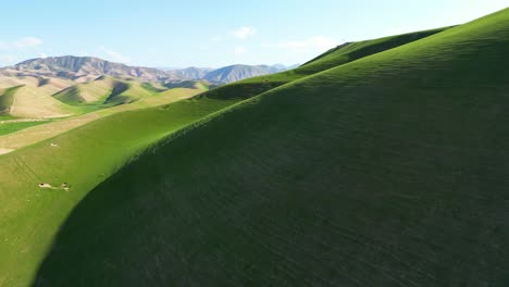 aerial view of the green mountains and peaceful nature