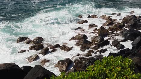 hd cámara lenta hawaii kauai estática de las olas del océano rompiendo de izquierda a derecha en la costa rocosa con rocas de lava y arbustos en primer plano