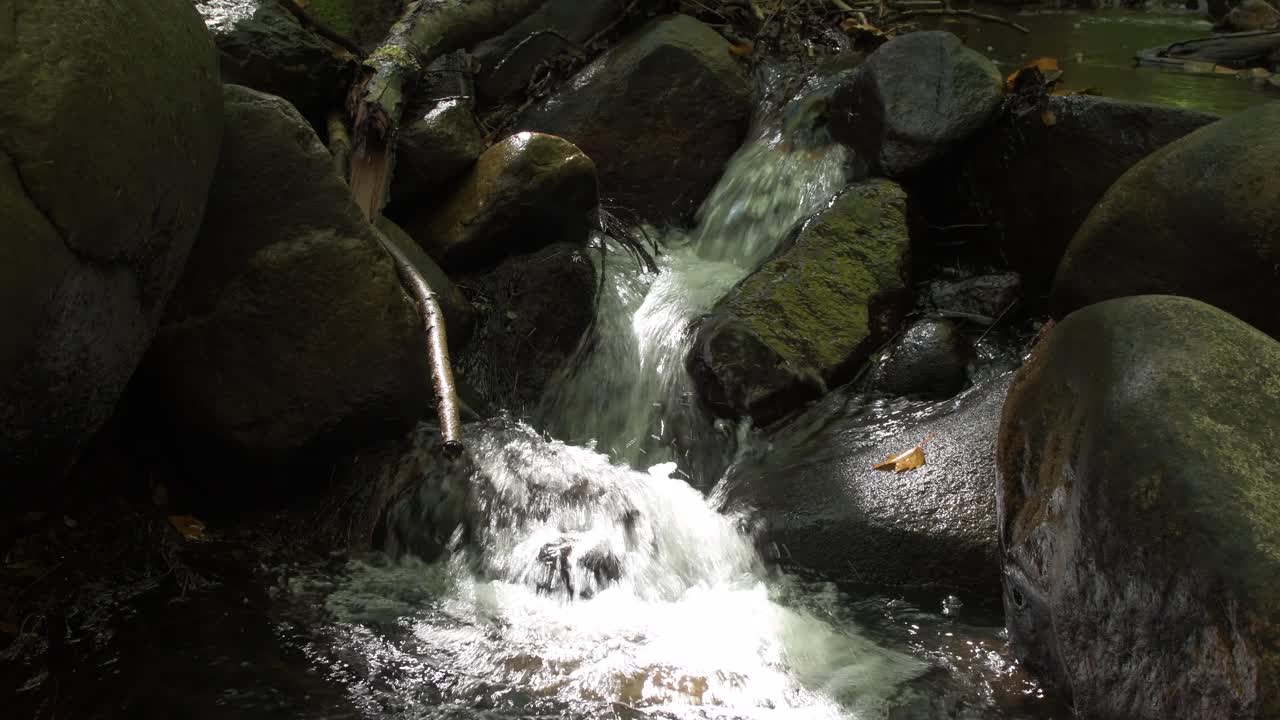 Close up of small waterfall in the forest