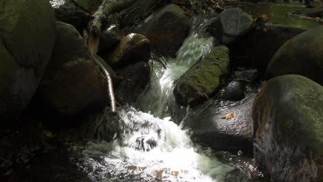 Close-up-of-small-waterfall-in-the-forest