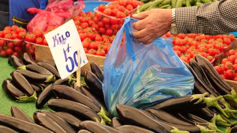 fresh eggplants and tomatoes at market