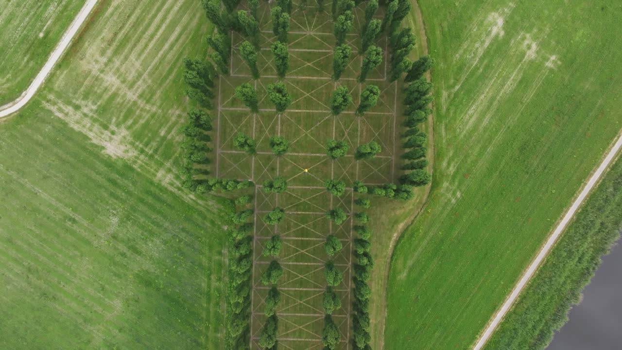 Vista aerea di De Groene Kathedraal con parco, arte, alberi, che mostra un delicato paesaggio panoramico nei Paesi Bassi.