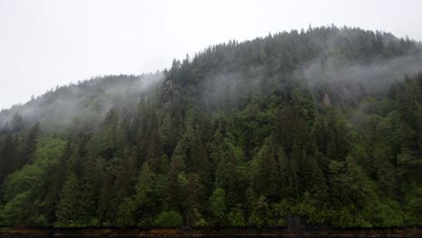 alaska misty fjords,
rudyerd bay