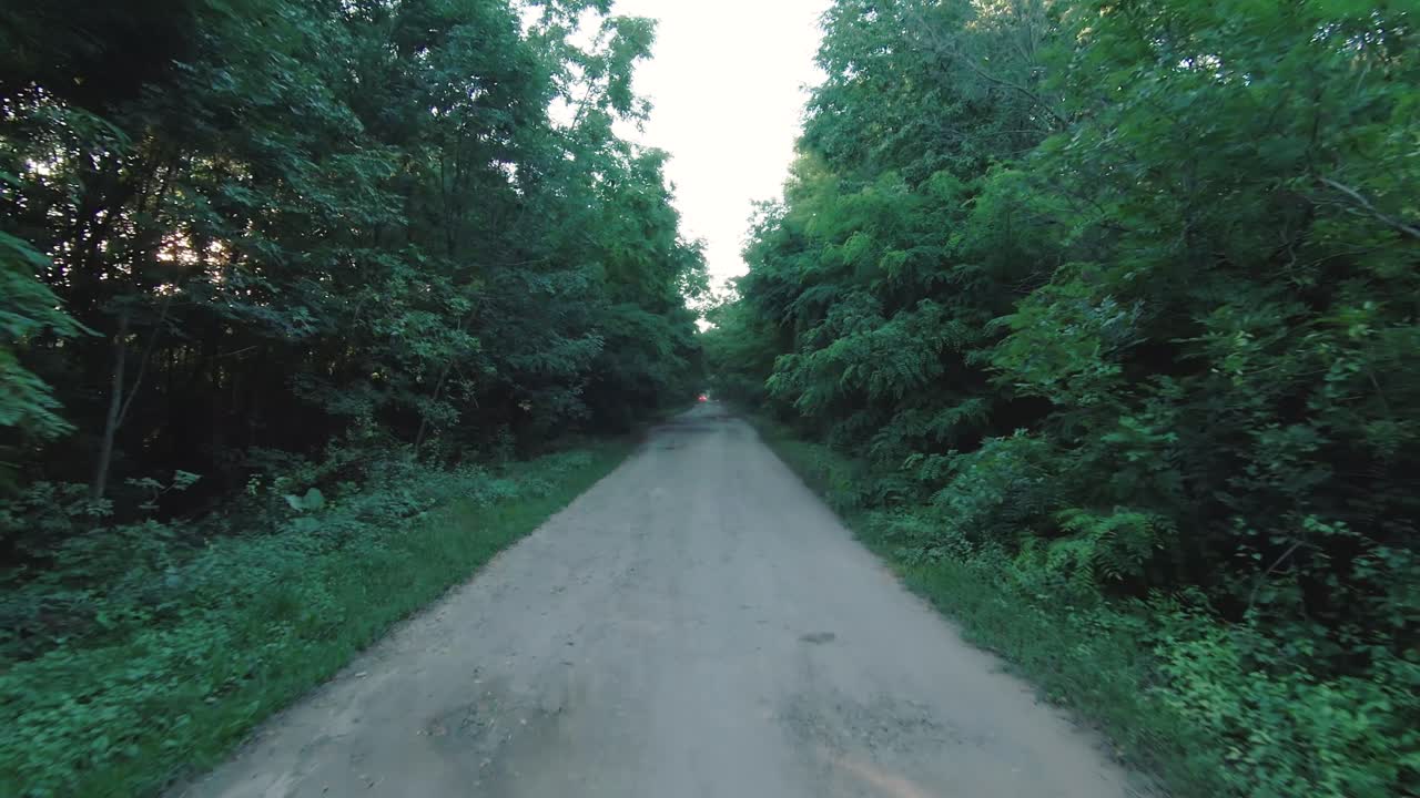 숲 비포장 도로