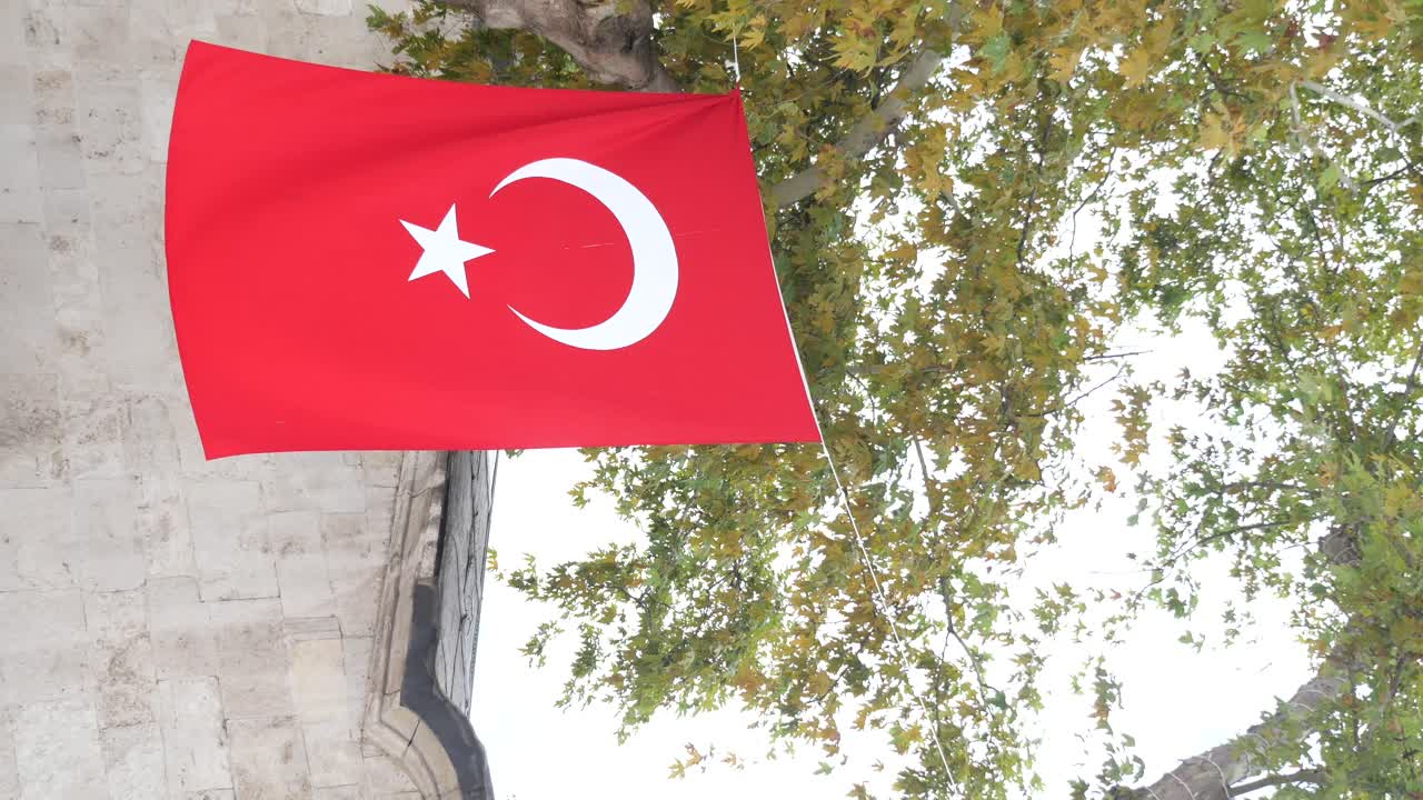 Turkish Flag Hanging from Tree