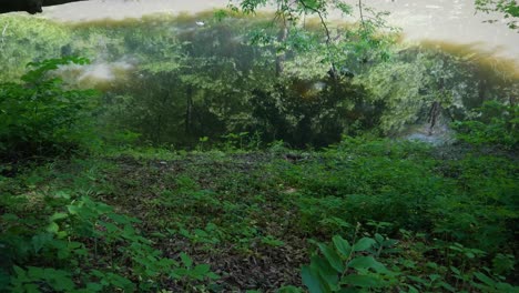 Ondas-De-Agua-Tranquila-A-Orillas-Del-Arroyo-Wissahickon