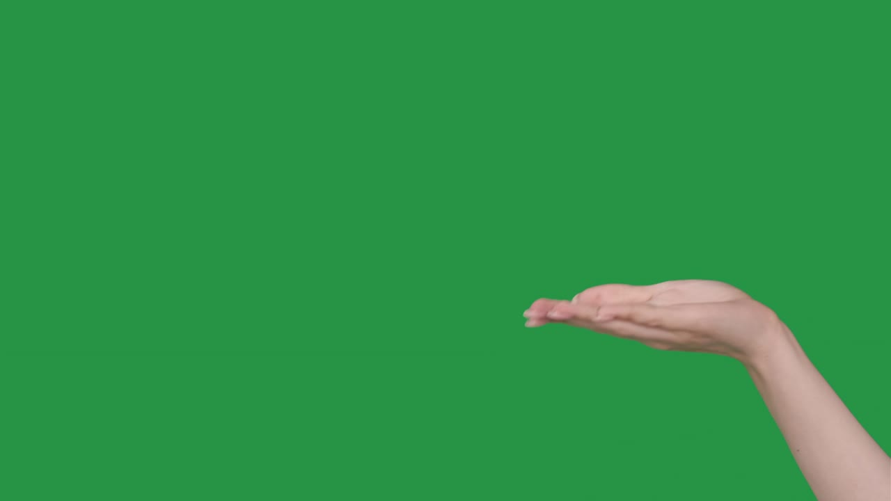 돈 제스처 내게 돈을 지불 손 현금을 요구 열 손바닥