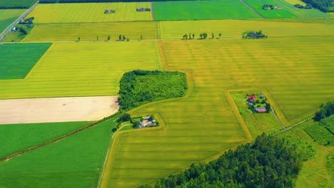 Beautiful-Aerial-View-of-Green-Agricultural-field-on-Sunrise