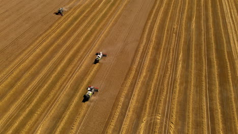 Three-combine-harvester-strong-work-on-field,-tractor-drive-up-with-the-trailer-to-get-the-grain,-a-huge-field-of-mown-grain