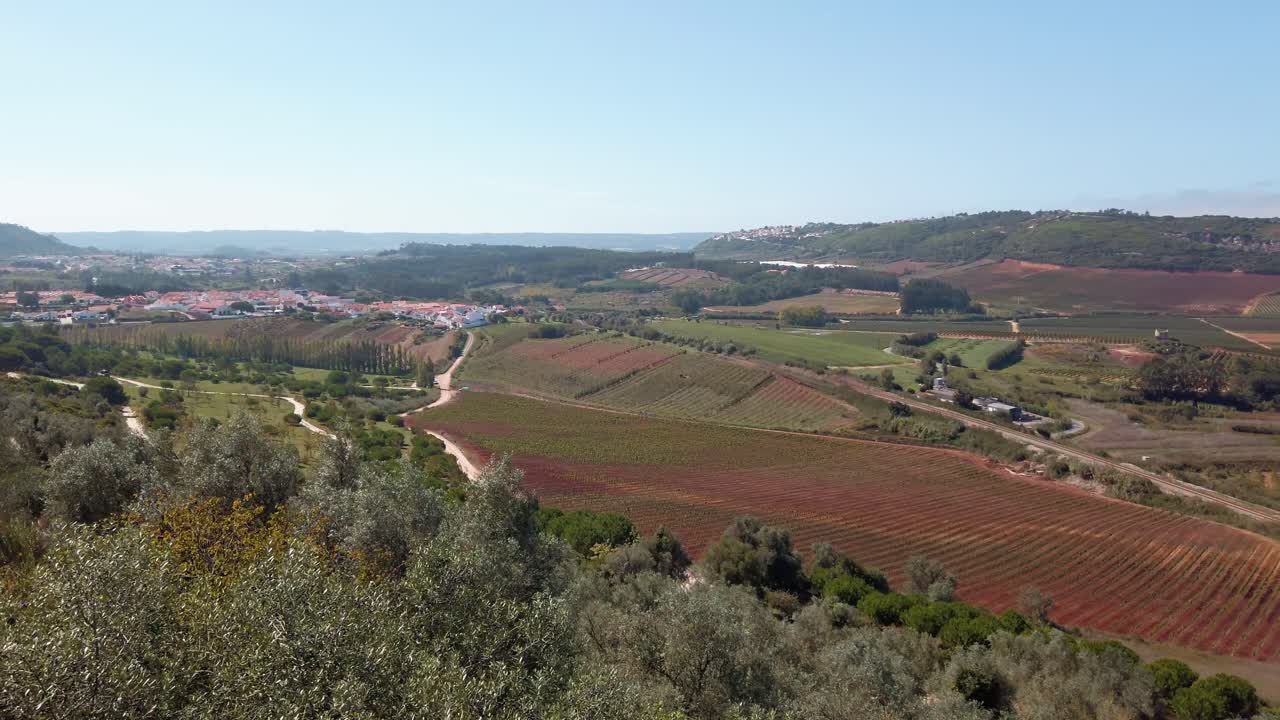 Portogallo, Óbidos, vista panoramica dal paese, che mostra il paesaggio con campi verdi e foreste